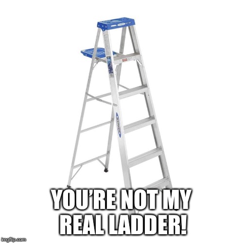 Ladder Puns | YOU’RE NOT MY REAL LADDER! | image tagged in stepladder,stepparents,puns,bad puns | made w/ Imgflip meme maker