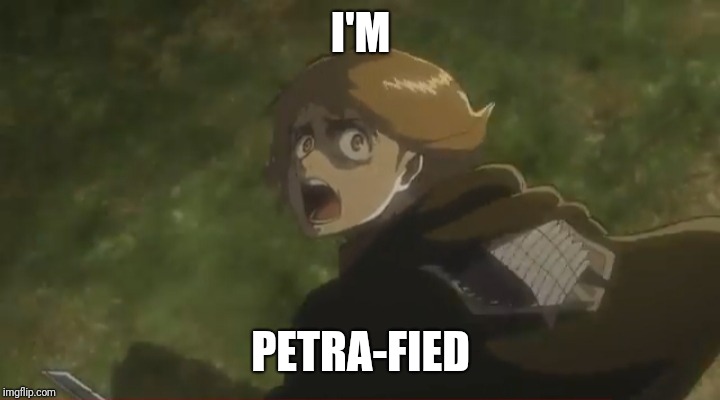 I'm Petrafied | I'M; PETRA-FIED | image tagged in attack on titan,petra | made w/ Imgflip meme maker