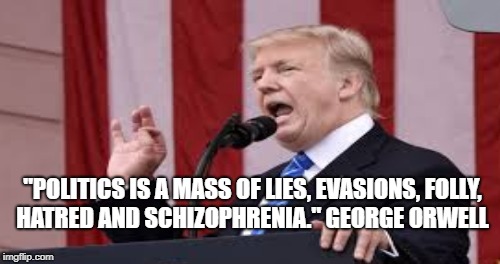Prima Facie Evidence |  "POLITICS IS A MASS OF LIES, EVASIONS, FOLLY, HATRED AND SCHIZOPHRENIA." GEORGE ORWELL | image tagged in liar,con man,potus | made w/ Imgflip meme maker