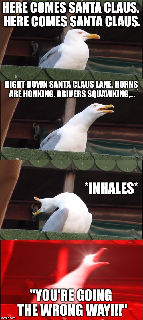 Santa Claus needs a sobriety test | HERE COMES SANTA CLAUS. HERE COMES SANTA CLAUS. RIGHT DOWN SANTA CLAUS LANE. HORNS ARE HONKING. DRIVERS SQUAWKING,... *INHALES*; "YOU'RE GOING THE WRONG WAY!!!" | image tagged in memes,inhaling seagull,santa claus,bad drivers,drunk,christmas | made w/ Imgflip meme maker