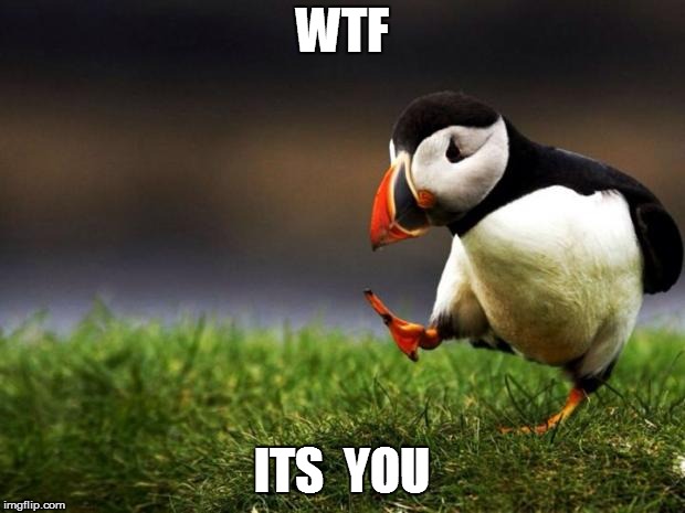 Unpopular Opinion Puffin Meme | WTF; ITS  YOU | image tagged in memes,unpopular opinion puffin | made w/ Imgflip meme maker