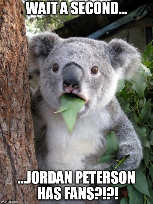 Surprised Koala Meme | WAIT A SECOND... ...JORDAN PETERSON HAS FANS?!?! | image tagged in memes,surprised koala | made w/ Imgflip meme maker