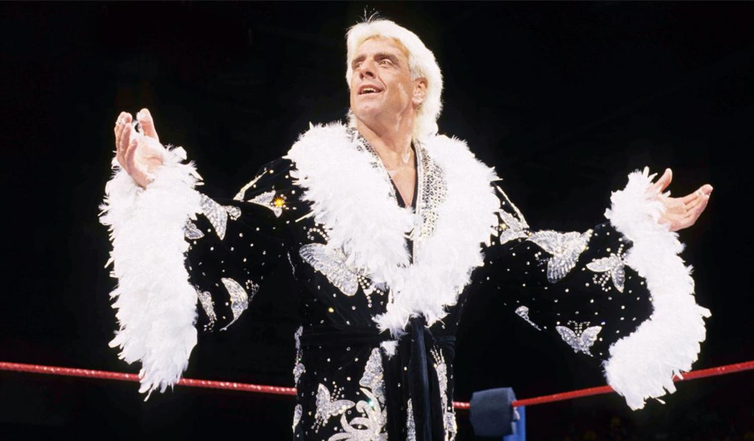 High Quality Ric Flair Blank Meme Template