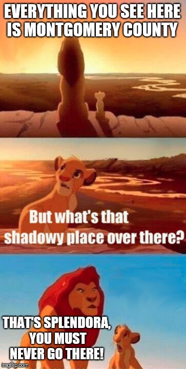 Simba Shadowy Place Meme | EVERYTHING YOU SEE HERE IS MONTGOMERY COUNTY; THAT'S SPLENDORA, YOU MUST NEVER GO THERE! | image tagged in memes,simba shadowy place | made w/ Imgflip meme maker