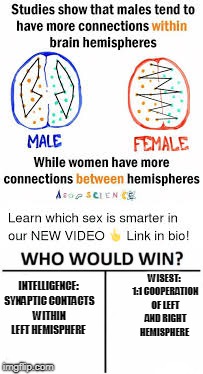 INTELLIGENCE: SYNAPTIC CONTACTS WITHIN LEFT HEMISPHERE WISEST: 1:1 COOPERATION OF LEFT AND RIGHT HEMISPHERE | made w/ Imgflip meme maker
