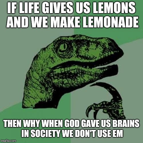 Philosoraptor | IF LIFE GIVES US LEMONS AND WE MAKE LEMONADE; THEN WHY WHEN GOD GAVE US BRAINS IN SOCIETY WE DON'T USE EM | image tagged in memes,philosoraptor | made w/ Imgflip meme maker