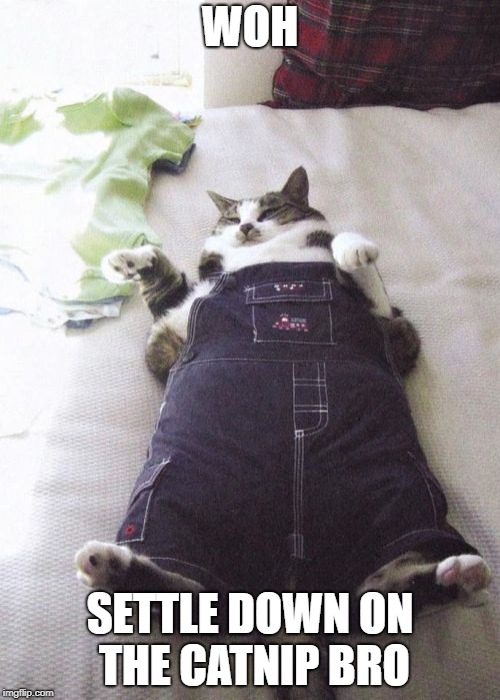 Fat Cat Meme | WOH; SETTLE DOWN ON THE CATNIP BRO | image tagged in memes,fat cat | made w/ Imgflip meme maker
