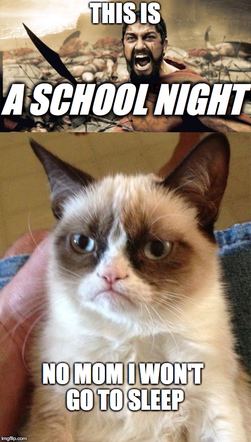 Me | THIS IS; A SCHOOL NIGHT; NO MOM I WON'T GO TO SLEEP | image tagged in funny,grumpy cat,this is sparta | made w/ Imgflip meme maker