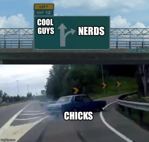 Choices | NERDS; COOL GUYS; CHICKS | image tagged in memes,left exit 12 off ramp,guys,nerds,girls,hot chicks | made w/ Imgflip meme maker