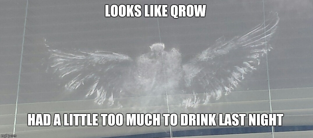 Songbird | LOOKS LIKE QROW; HAD A LITTLE TOO MUCH TO DRINK LAST NIGHT | image tagged in songbird | made w/ Imgflip meme maker