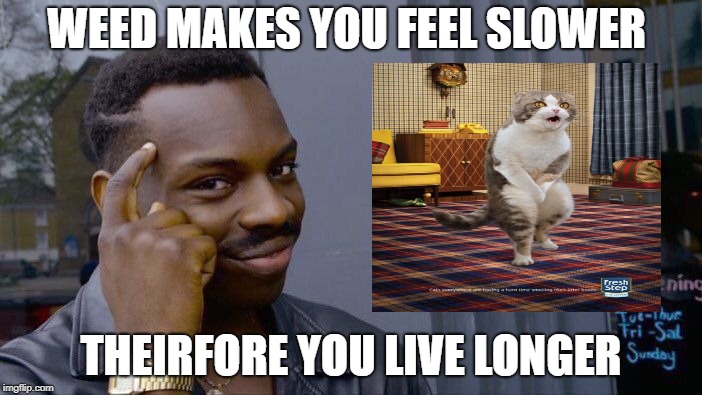 Roll Safe Think About It | WEED MAKES YOU FEEL SLOWER; THEIRFORE YOU LIVE LONGER | image tagged in memes,roll safe think about it | made w/ Imgflip meme maker