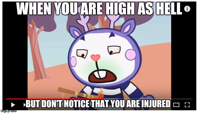 WHEN YOU ARE HIGH AS HELL; BUT DON'T NOTICE THAT YOU ARE INJURED | image tagged in happy tree friends,nsfw,memes | made w/ Imgflip meme maker