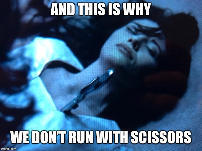 AND THIS IS WHY; WE DON’T RUN WITH SCISSORS | image tagged in memes | made w/ Imgflip meme maker