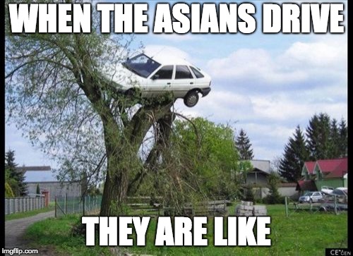 Secure Parking Meme | WHEN THE ASIANS DRIVE; THEY ARE LIKE | image tagged in memes,secure parking | made w/ Imgflip meme maker
