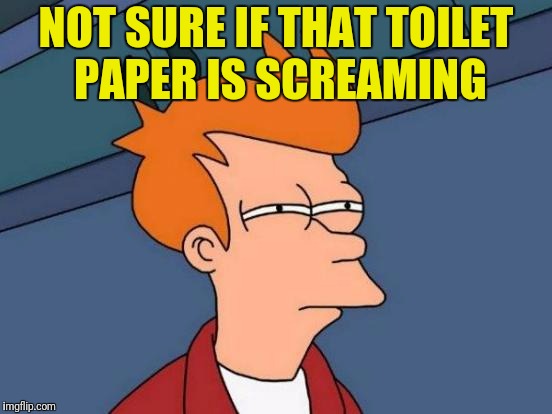 Futurama Fry Meme | NOT SURE IF THAT TOILET PAPER IS SCREAMING | image tagged in memes,futurama fry | made w/ Imgflip meme maker