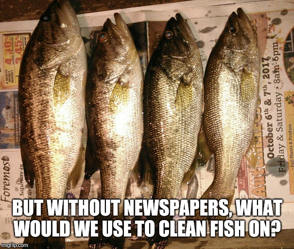 BUT WITHOUT NEWSPAPERS, WHAT WOULD WE USE TO CLEAN FISH ON? | made w/ Imgflip meme maker