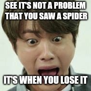 Where it go!? | SEE IT'S NOT A PROBLEM THAT YOU SAW A SPIDER; IT'S WHEN YOU LOSE IT | image tagged in where it go | made w/ Imgflip meme maker