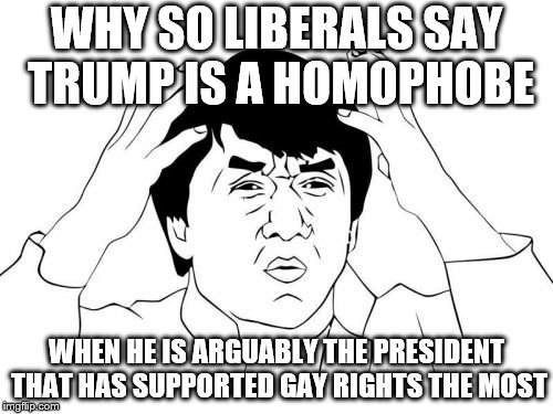 Jackie Chan WTF Meme | WHY SO LIBERALS SAY TRUMP IS A HOMOPHOBE; WHEN HE IS ARGUABLY THE PRESIDENT THAT HAS SUPPORTED GAY RIGHTS THE MOST | image tagged in memes,jackie chan wtf | made w/ Imgflip meme maker