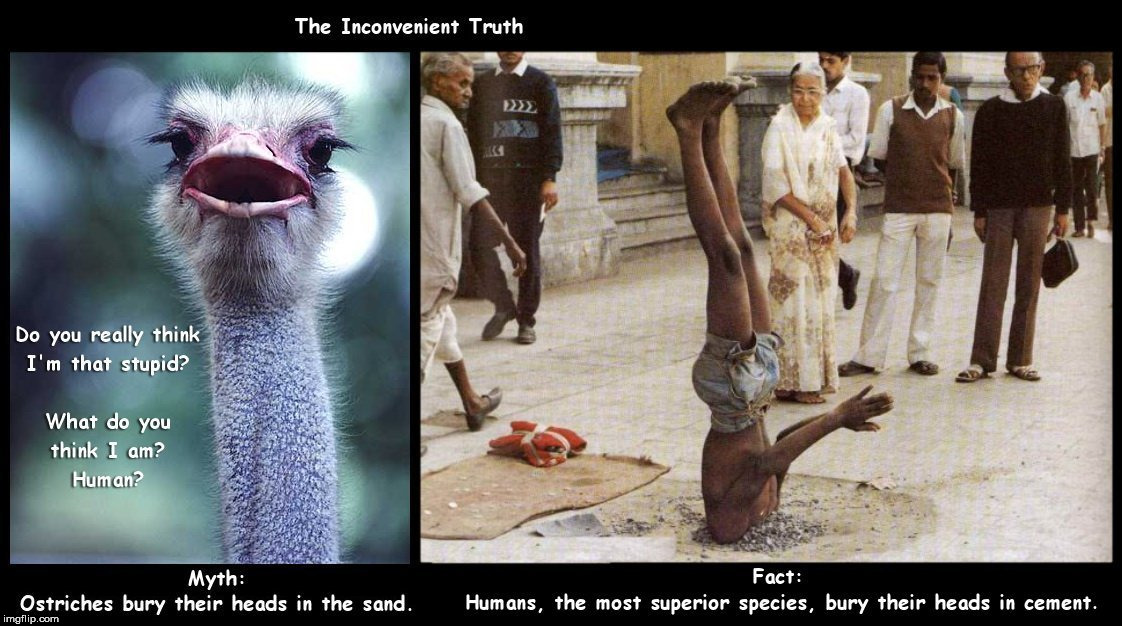 The Inconvenient Truth | image tagged in head in sand | made w/ Imgflip meme maker