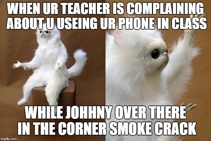 Persian Cat Room Guardian | WHEN UR TEACHER IS COMPLAINING ABOUT U USEING UR PHONE IN CLASS; WHILE JOHHNY OVER THERE IN THE CORNER SMOKE CRACK | image tagged in memes,persian cat room guardian | made w/ Imgflip meme maker