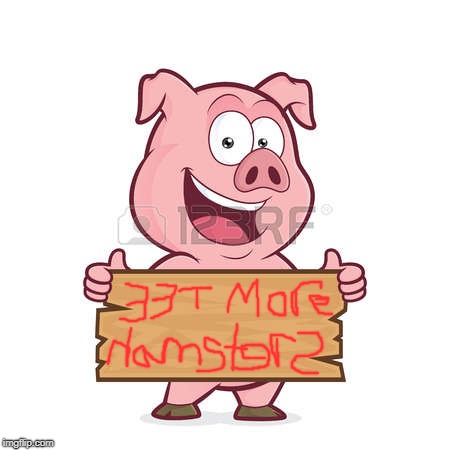 pig | image tagged in pig | made w/ Imgflip meme maker