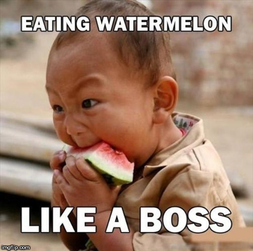 puttin  down the melon LIKE A  BOSS! | .               . | image tagged in like a boss,watermelon,eating | made w/ Imgflip meme maker