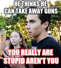 why cant he just shut up so we can go home | HE THINKS HE CAN TAKE AWAY GUNS; YOU REALLY ARE STUPID AREN'T YOU | image tagged in david hogg crap | made w/ Imgflip meme maker