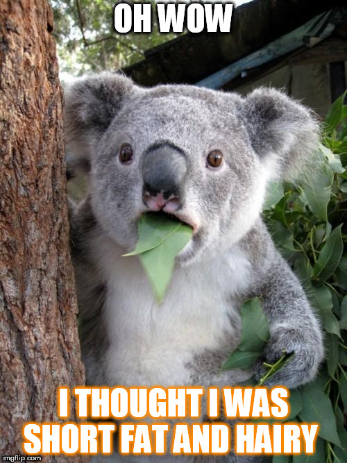 Surprised Koala Meme | OH WOW; I THOUGHT I WAS SHORT FAT AND HAIRY | image tagged in memes,surprised koala | made w/ Imgflip meme maker