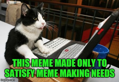 I got nothing | THIS MEME MADE ONLY TO SATISFY MEME MAKING NEEDS | image tagged in fact cat | made w/ Imgflip meme maker
