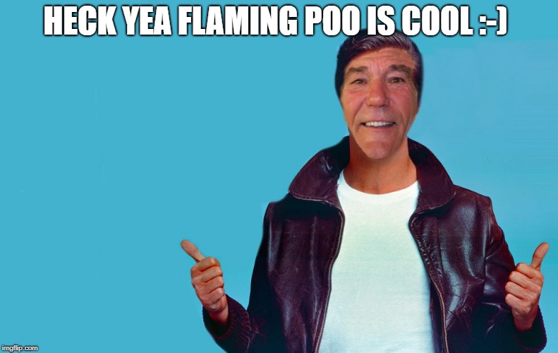 fonzie-lew | HECK YEA FLAMING POO IS COOL :-) | image tagged in fonzie-lew | made w/ Imgflip meme maker