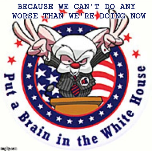 brain white house | BECAUSE WE CAN'T DO ANY WORSE THAN WE'RE DOING NOW | image tagged in brain white house | made w/ Imgflip meme maker