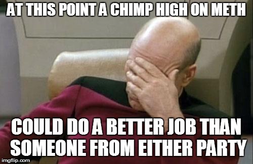 Captain Picard Facepalm Meme | AT THIS POINT A CHIMP HIGH ON METH COULD DO A BETTER JOB THAN SOMEONE FROM EITHER PARTY | image tagged in memes,captain picard facepalm | made w/ Imgflip meme maker