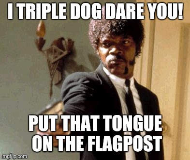 Say That Again I Dare You Meme | I TRIPLE DOG DARE YOU! PUT THAT TONGUE ON THE FLAGPOST | image tagged in memes,say that again i dare you | made w/ Imgflip meme maker