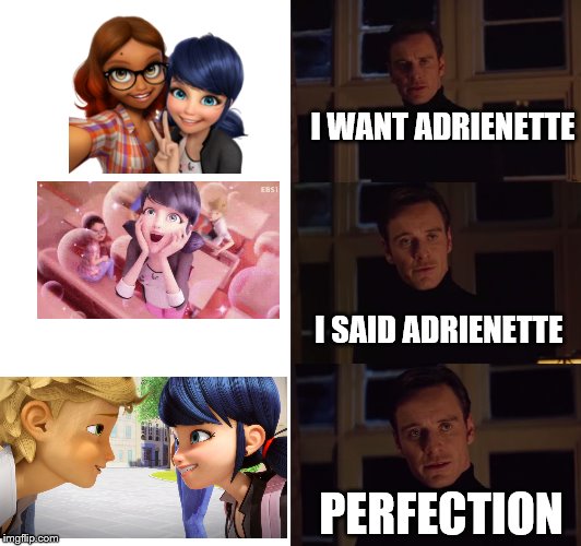Miraculous Perfection | I WANT ADRIENETTE; I SAID ADRIENETTE; PERFECTION | image tagged in perfection,miraculous,adrienette,marinette | made w/ Imgflip meme maker