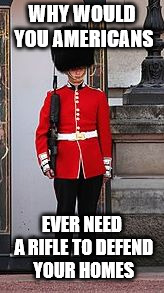 Queen's Guard | WHY WOULD YOU AMERICANS; EVER NEED A RIFLE TO DEFEND YOUR HOMES | image tagged in queen's guard,memes,guns,gun control | made w/ Imgflip meme maker