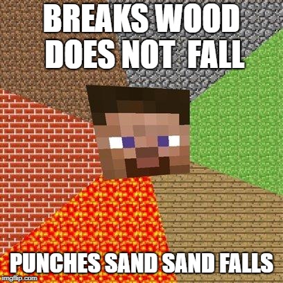 Minecraft Steve | BREAKS WOOD DOES NOT  FALL; PUNCHES SAND SAND FALLS | image tagged in minecraft steve | made w/ Imgflip meme maker