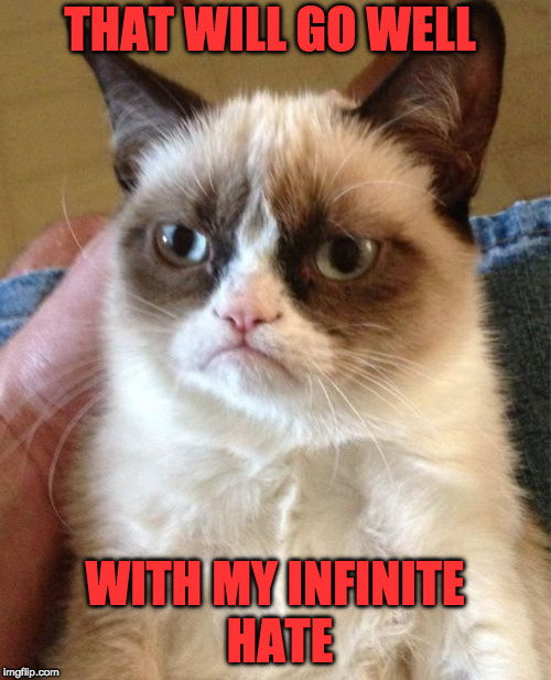 Grumpy Cat Meme | THAT WILL GO WELL WITH MY INFINITE HATE | image tagged in memes,grumpy cat | made w/ Imgflip meme maker