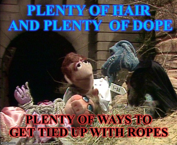 PLENTY OF HAIR AND PLENTY  OF DOPE PLENTY OF WAYS TO GET TIED UP WITH ROPES | made w/ Imgflip meme maker