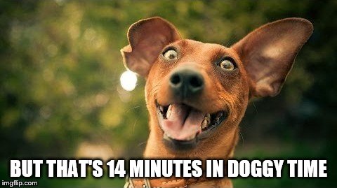 BUT THAT'S 14 MINUTES IN DOGGY TIME | made w/ Imgflip meme maker