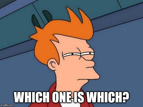 Futurama Fry Meme | WHICH ONE IS WHICH? | image tagged in memes,futurama fry | made w/ Imgflip meme maker