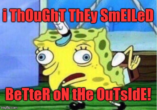 Mocking Spongebob Meme | i ThOuGhT ThEy SmElLeD BeTteR oN tHe OuTsIdE! | image tagged in memes,mocking spongebob | made w/ Imgflip meme maker