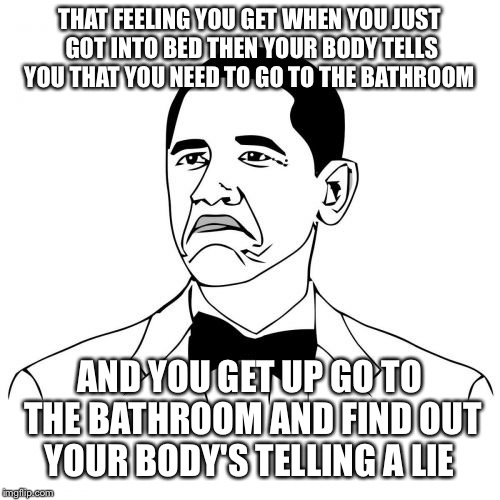 Not Bad Obama |  THAT FEELING YOU GET WHEN YOU JUST GOT INTO BED THEN YOUR BODY TELLS YOU THAT YOU NEED TO GO TO THE BATHROOM; AND YOU GET UP GO TO THE BATHROOM AND FIND OUT YOUR BODY'S TELLING A LIE | image tagged in memes,not bad obama | made w/ Imgflip meme maker