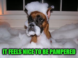 IT FEELS NICE TO BE PAMPERED | made w/ Imgflip meme maker