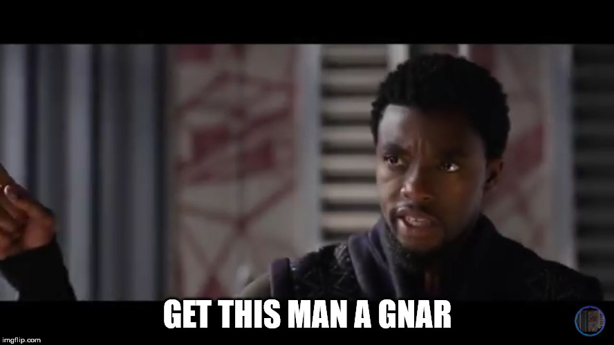 Black Panther - Get this man a shield | GET THIS MAN A GNAR | image tagged in black panther - get this man a shield | made w/ Imgflip meme maker