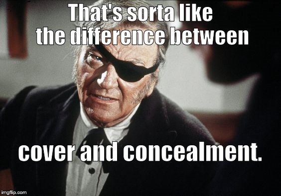 John Wayne | That's sorta like the difference between cover and concealment. | image tagged in john wayne | made w/ Imgflip meme maker