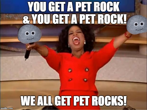 Oprah You Get A Meme | YOU GET A PET ROCK & YOU GET A PET ROCK! WE ALL GET PET ROCKS! | image tagged in memes,oprah you get a | made w/ Imgflip meme maker