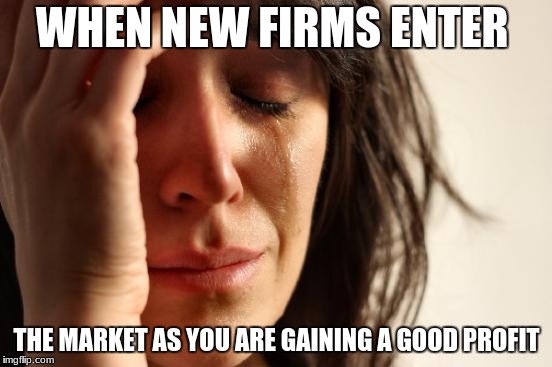 First World Problems Meme | WHEN NEW FIRMS ENTER; THE MARKET AS YOU ARE GAINING A GOOD PROFIT | image tagged in memes,first world problems | made w/ Imgflip meme maker