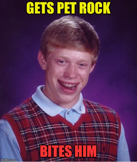 Bad Luck Brian Meme | GETS PET ROCK BITES HIM | image tagged in memes,bad luck brian | made w/ Imgflip meme maker