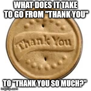 How "Much" Does It Take? | WHAT DOES IT TAKE TO GO FROM "THANK YOU"; TO "THANK YOU SO MUCH?" | image tagged in thank you cookie | made w/ Imgflip meme maker