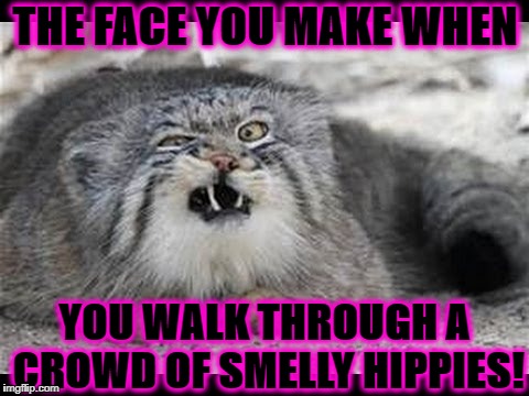 THE FACE YOU MAKE WHEN; YOU WALK THROUGH A CROWD OF SMELLY HIPPIES! | image tagged in face you make | made w/ Imgflip meme maker